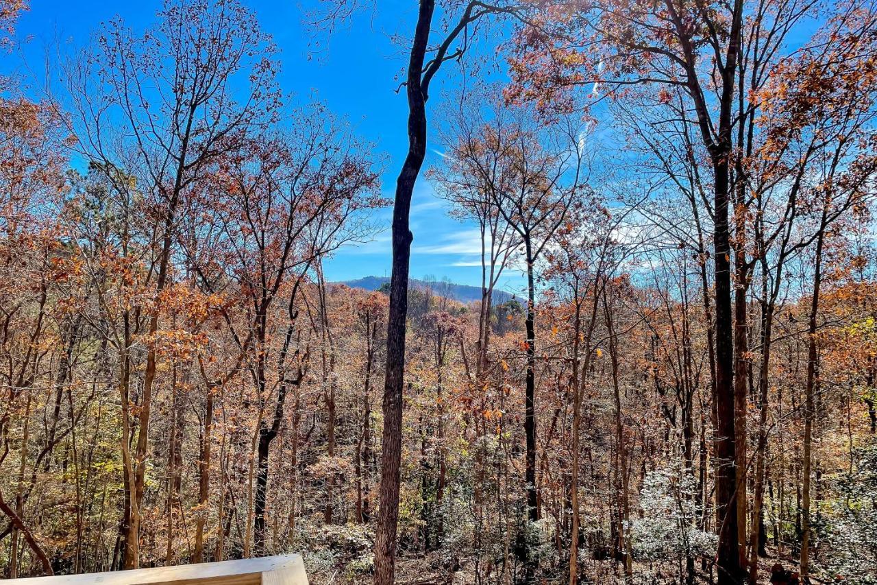 Rustic Mountain Cabin Βίλα Ellijay Εξωτερικό φωτογραφία